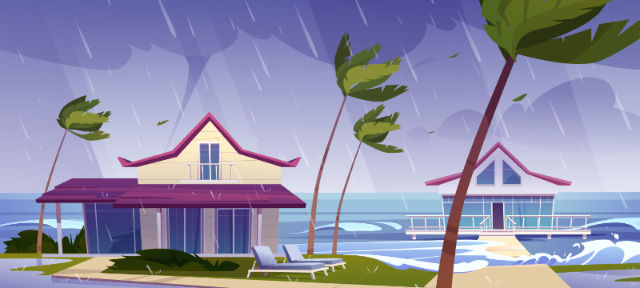 Hurricane Preparation Guide - Image