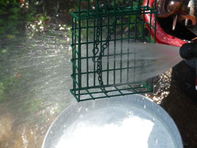 Spraying Suet Cage With Hose Water Photo